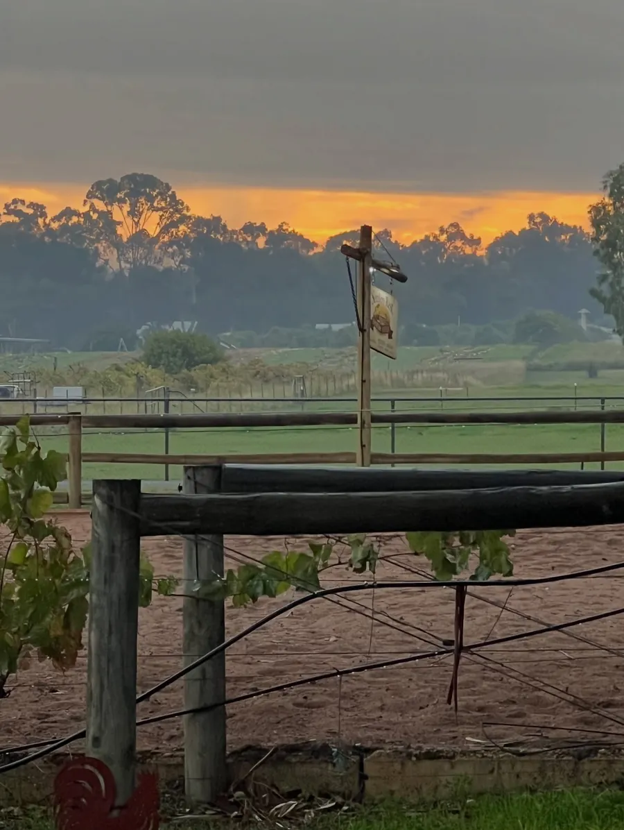 The Farm