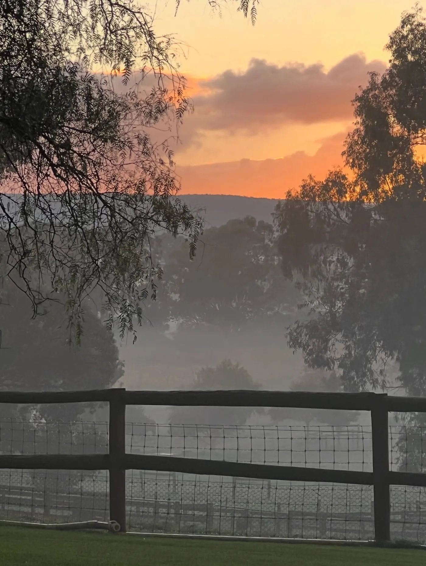 Golden sunrise mist over Settlers Rest paddocks