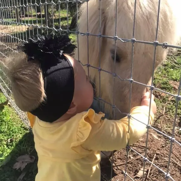 Here at Settlers Rest, we like to think that Introducing children to animals creates a life long love that is so important, clearly our gorgeous granddaughter has!!!! Not surprising when she is surrou