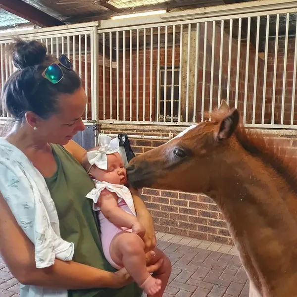 Our beautiful foal Giselle, being so kind with little Paityn giving her a gentle nuzzle, so precious introducing our granddaughter to the wonder of nature here at the farm #settlersrestfarmstay #swanv
