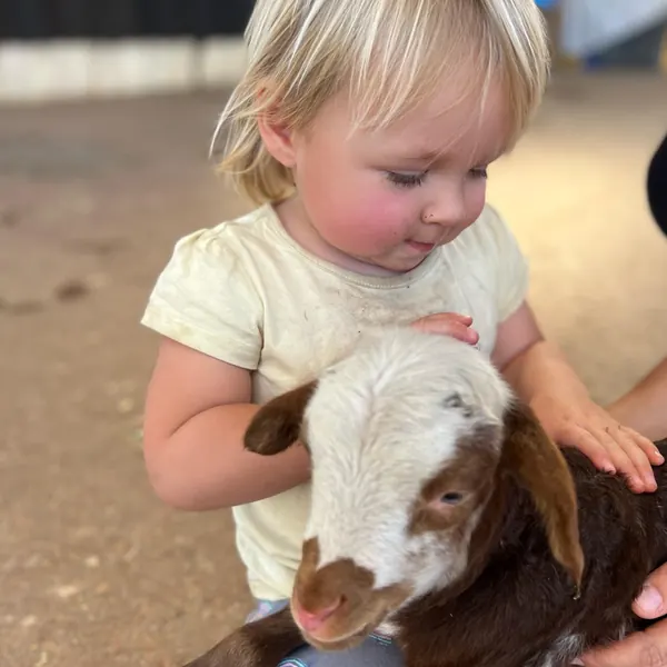 Does it get any better than this!  Beautiful baby lamb born a day ago#lifeonafarm #settlersrestfarmstay #cityofswan #swanvalleywa #soperth #destinationperth #watourism #thompsonandredwood