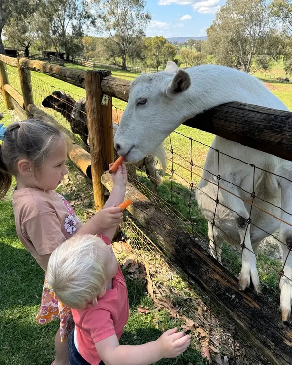 Our gorgeous Molly, everyone loves her and she loves you.  Carrots and you’re her friend always