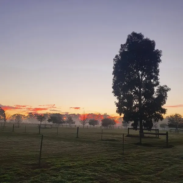 Good morning from Settlers Rest Farmstay.  What an amazing sunrise in the Swan Valley this morning!! Have a great day everyone @settlers_rest_farmstay #swanvalley#sunriseonthefarm#anotherdayinparadise