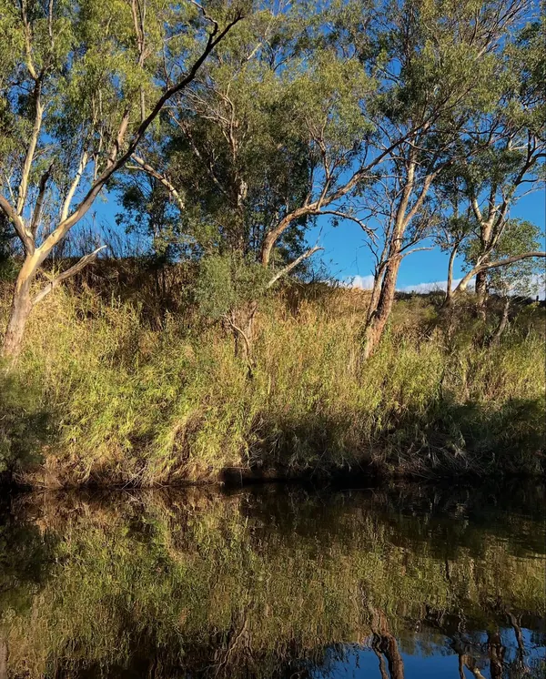 Sensational night tonight,  nature at its best.  After a huge storm just two days ago, the sky is blue and the river is shining, families of ducks are swimming and birds are chirping.  5.10pm at Settl