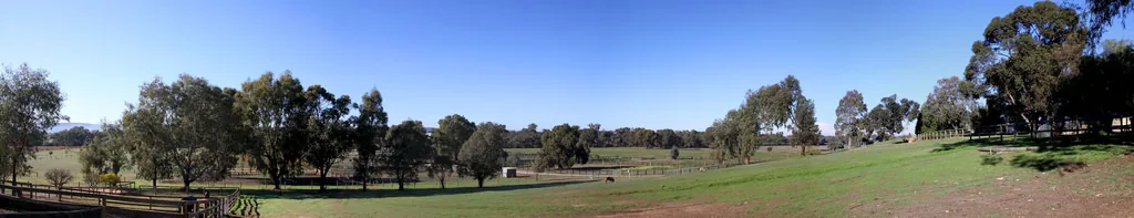 Swan Valley vineyards